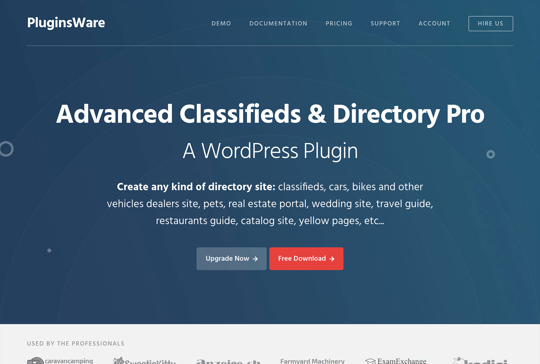 Advanced Classifieds & Directories Pro masthead image