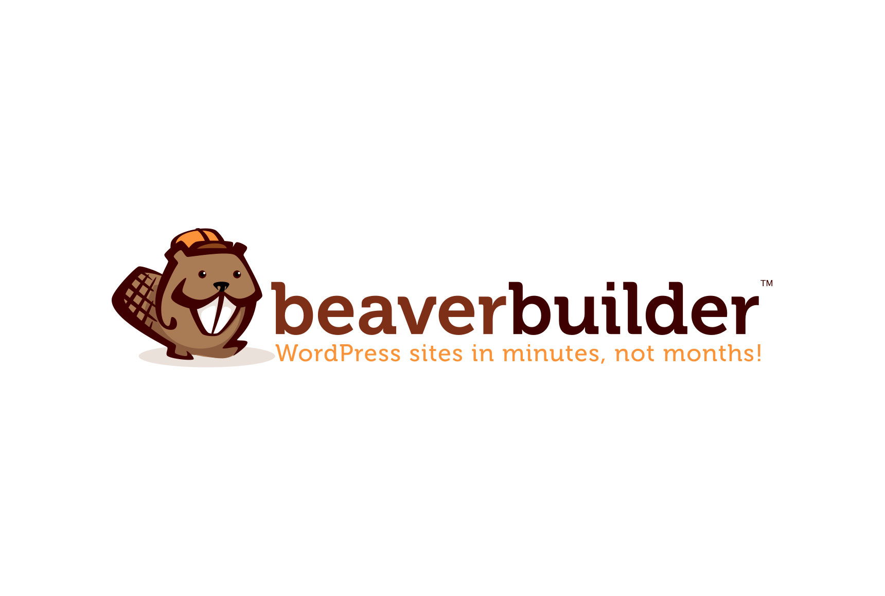Beaver Builder masthead image