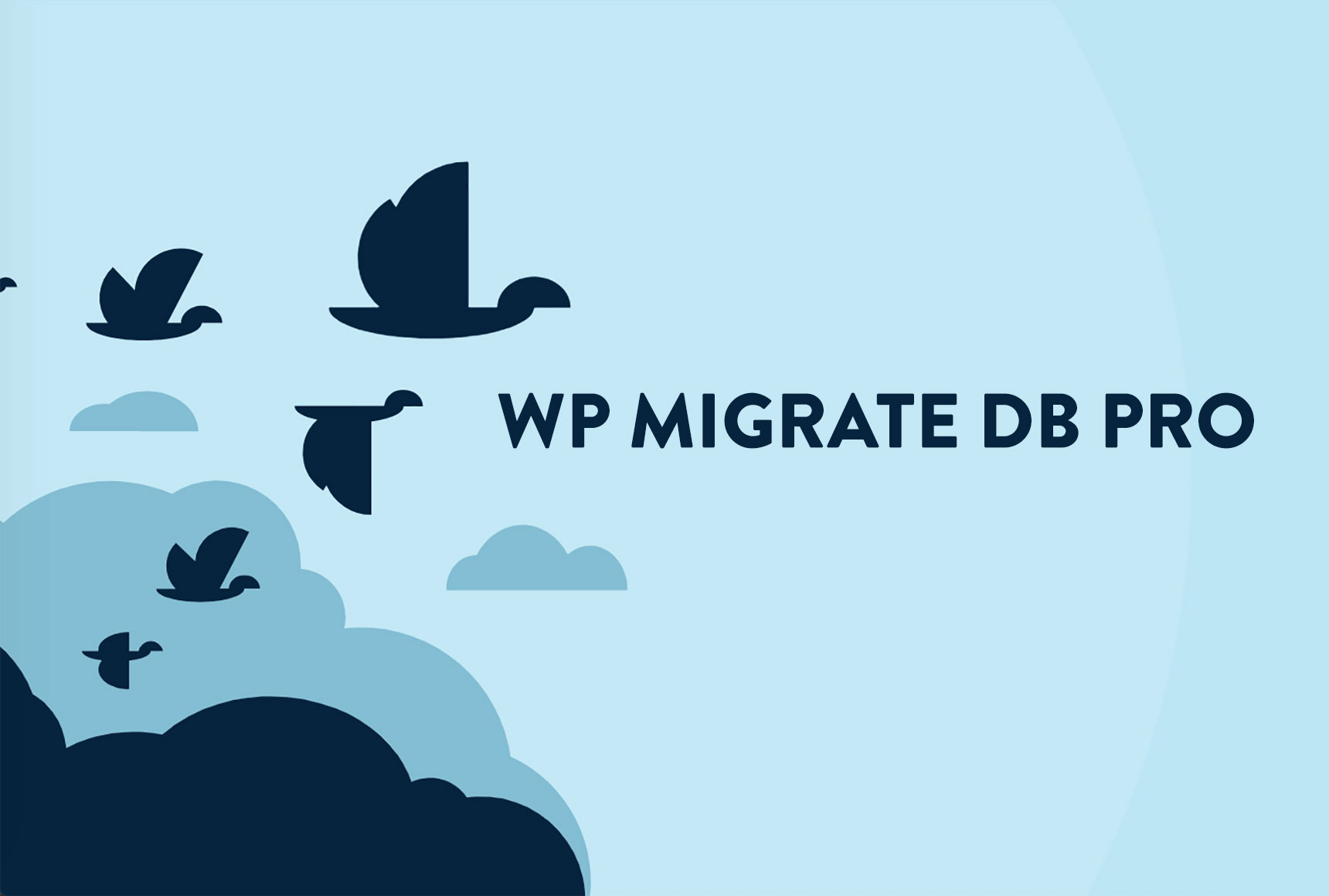WP Migrate DB Pro masthead image